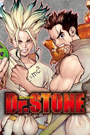 Dr. Stone